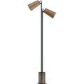 Maxim Lighting Scout 2-Light LED Floor Lamp 10099WWDTN